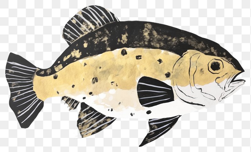 Black Trout Fish Images  Free Photos, PNG Stickers, Wallpapers