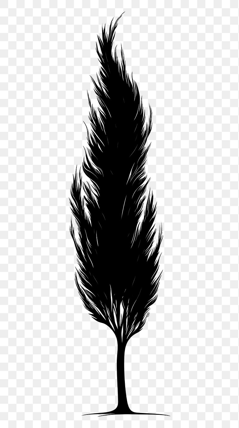 PNG Silhouette illustration black white.