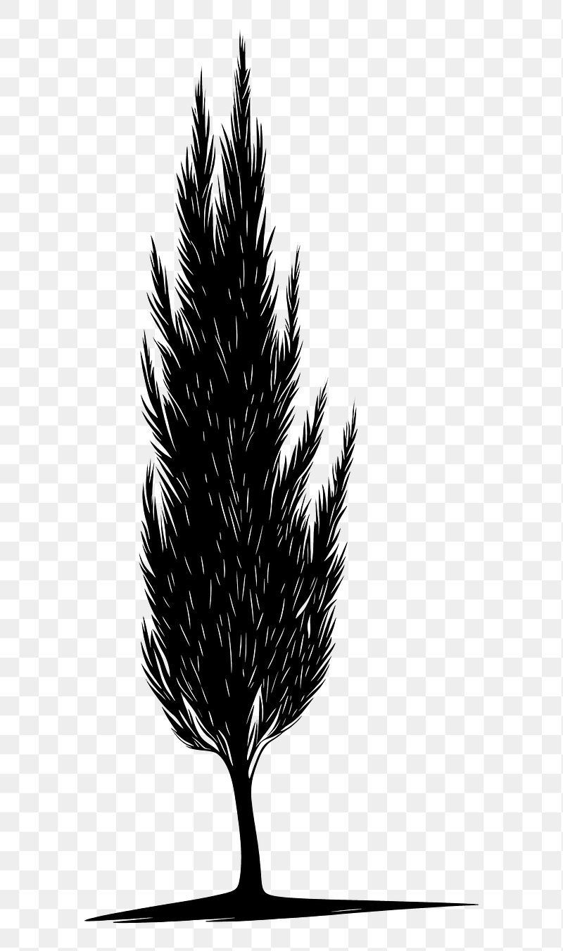 PNG Cypress Tree silhouette tree illustration.