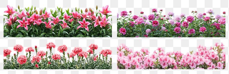 Flower Garden Images | Free Photos, PNG Stickers, Wallpapers ...