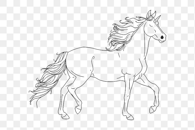 Horse Clipart Black And White Horse, Horse Drawing, Lip Drawing, Black And  White Drawing PNG Transparent Clipart Image and PSD File for Free Download