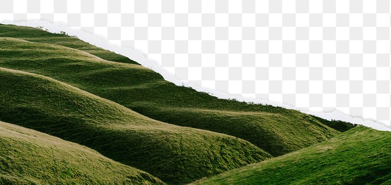 Rolling Hill Images | Free Photos, PNG Stickers, Wallpapers & Backgrounds -  rawpixel