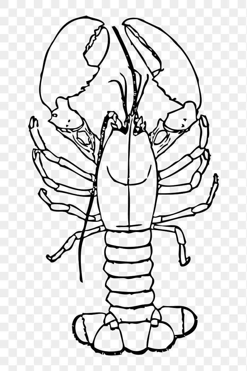 crayfish clipart