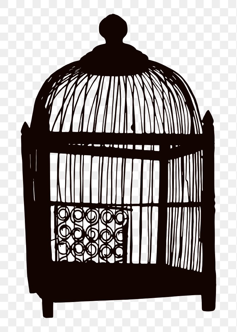 Examples of symbolism "I Know Why the Caged Bird Sings"