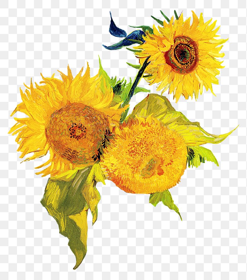 Sunflower png sticker, Van Gogh's | Premium PNG - rawpixel