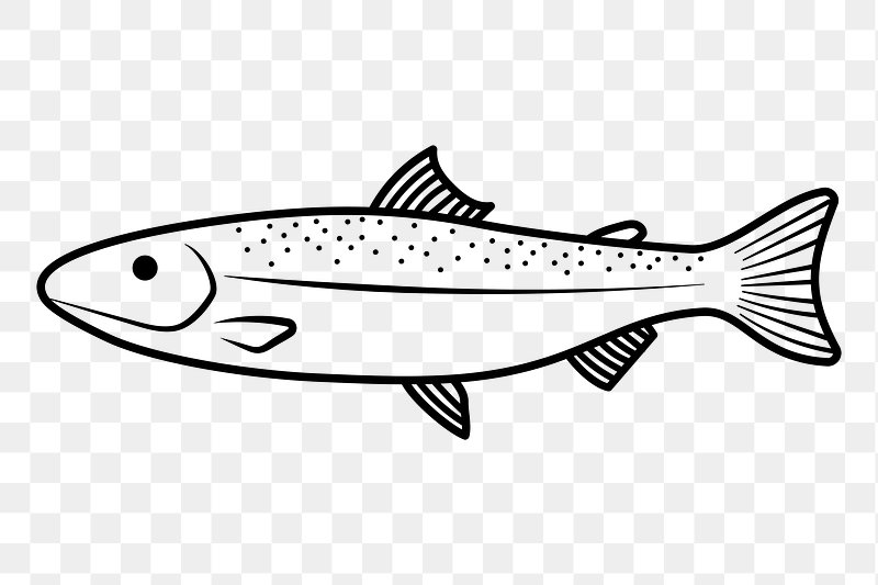 Fish Outline Images  Free Photos, PNG Stickers, Wallpapers