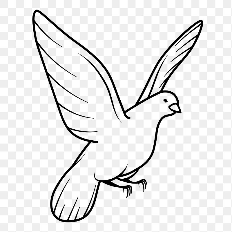 Dove Peace Symbol Peace Beautiful White Stock Vector (Royalty Free)  2136309061 | Shutterstock