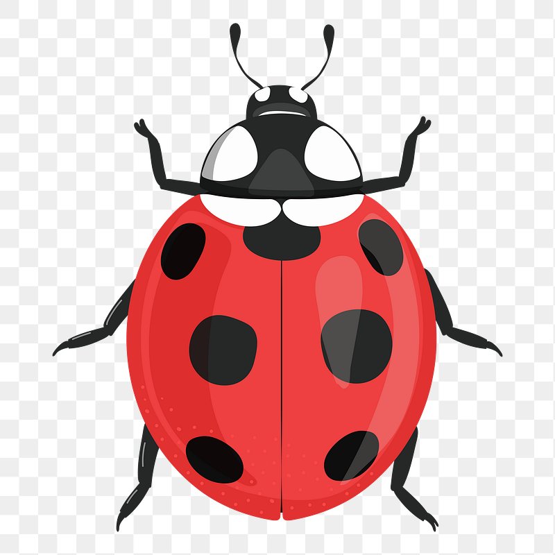 Free Vector  Cute ladybug animal cartoon sticker