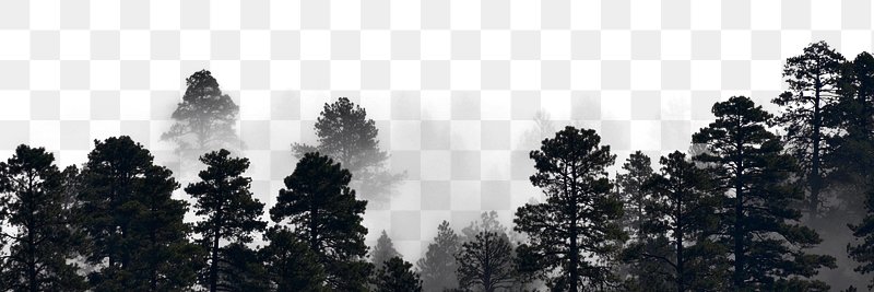Fog Images | Free Photos, PNG Stickers, Wallpapers & Backgrounds - rawpixel
