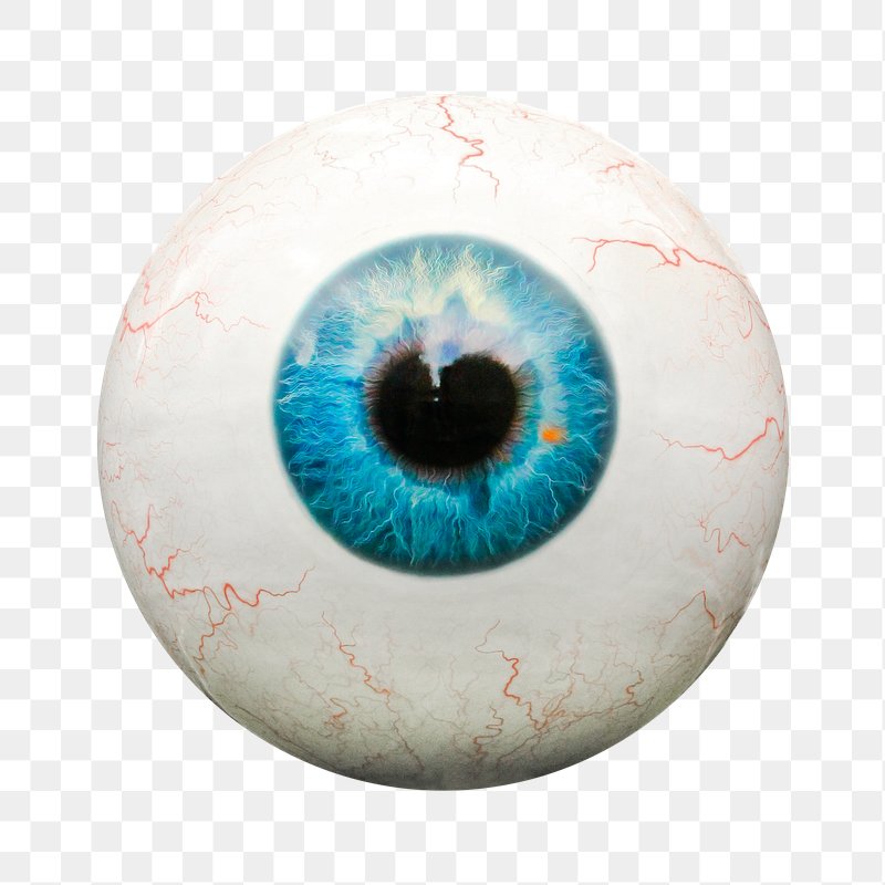 Eye PNG Transparent Images Free Download - Pngfre