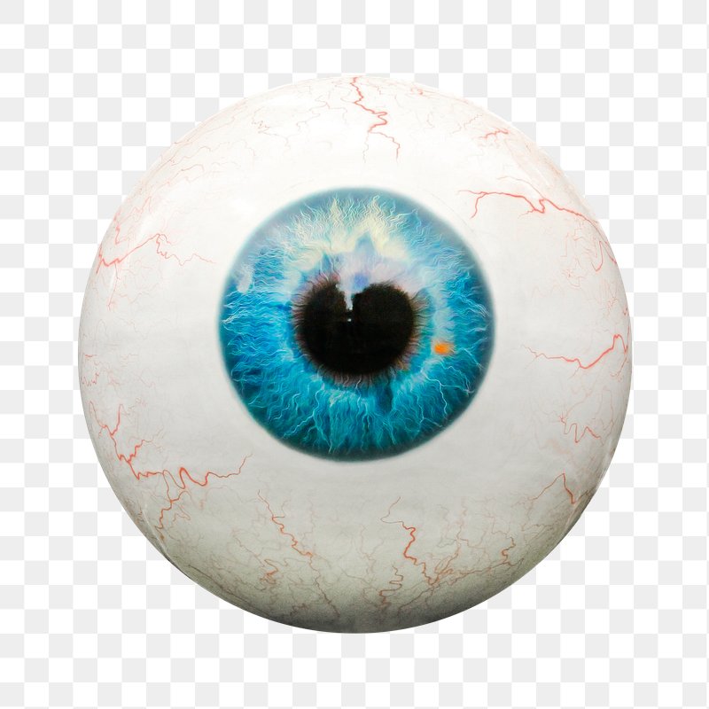 Eye Sticker