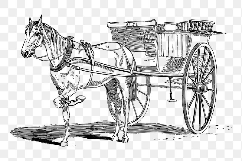 Horse Carriage Size – How to buy the correct sized horse Carriage