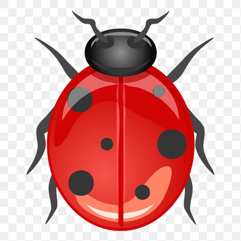 Ladybug Wallpaper Free Stock Photo - Public Domain Pictures