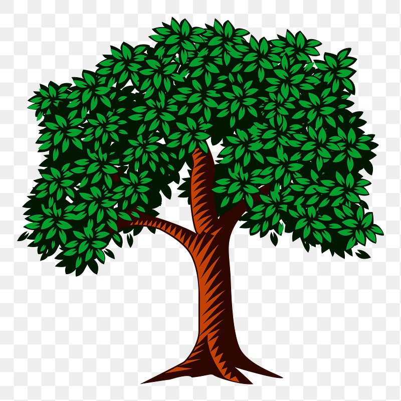Neem Tree Leaf Drawing Medicinal Plants - Neem Tree Leaves Clip Art - Png  Download (#1629917) - PikPng