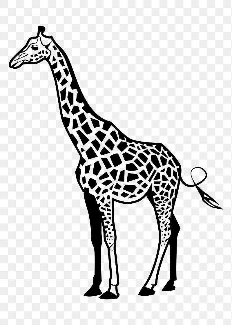 giraffe tumblr black and white