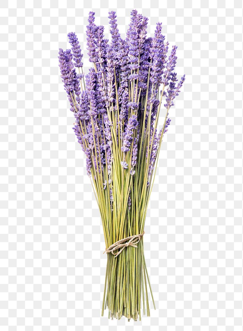 PNG purple lavender flower sticker | Premium PNG - rawpixel