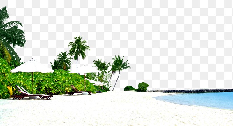Beach PNG Images | Free Photos, PNG Stickers, Wallpapers & Backgrounds -  rawpixel