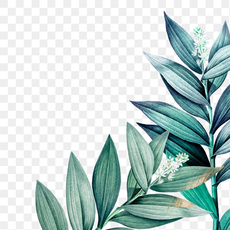 Green leaf png border, transparent | Premium PNG - rawpixel
