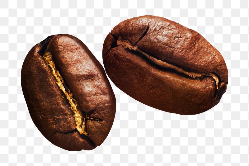 Coffee Beans PNG, Vector, PSD, and Clipart With Transparent