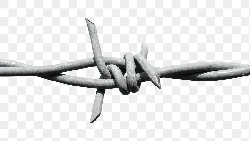 barbed wire drawing border