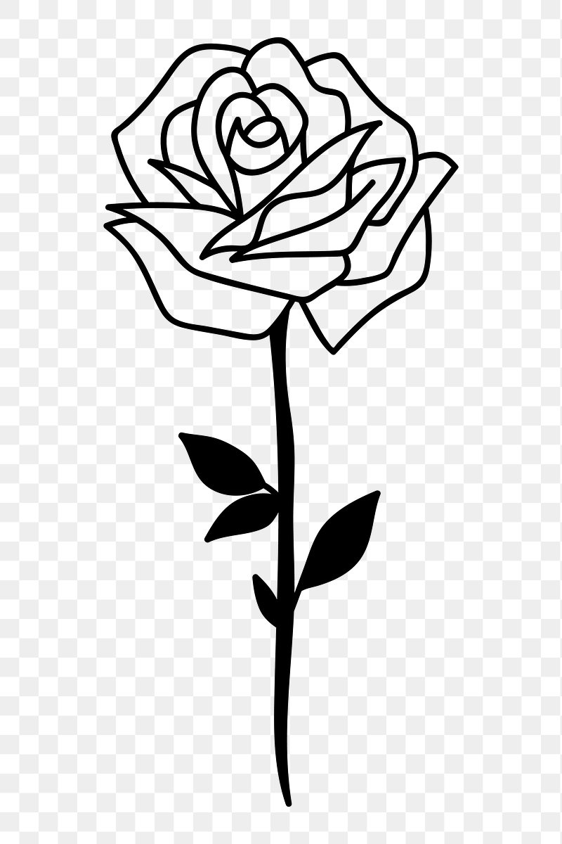 Rose White Line Art - Leix and Leiy - Digital Art, Flowers, Plants, &  Trees, Flowers, Flowers I-Z, Roses - ArtPal