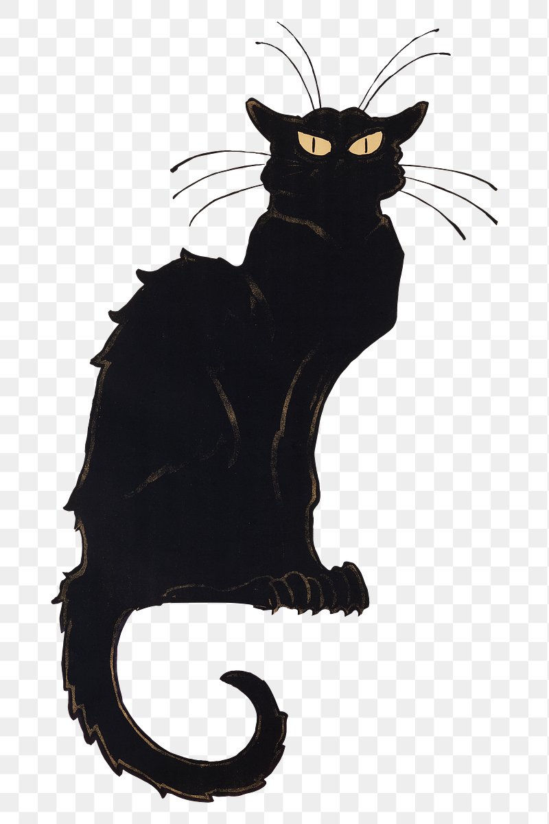 Cat Noir png images