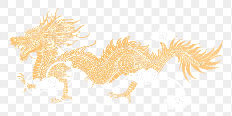 Chinese Golden Dragon Images | Free Photos, PNG Stickers, Wallpapers &  Backgrounds - rawpixel