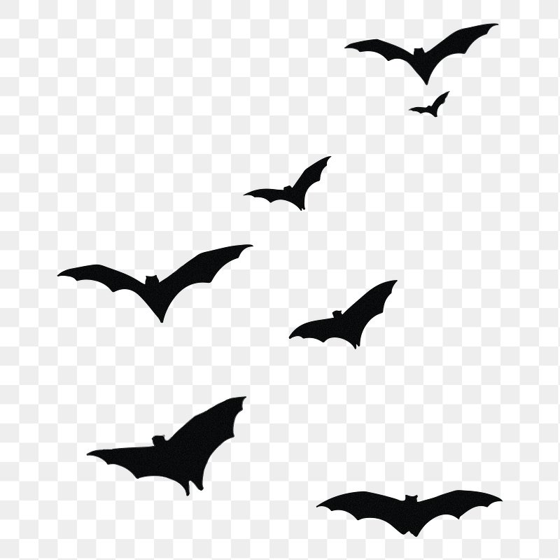 Halloween bat png images