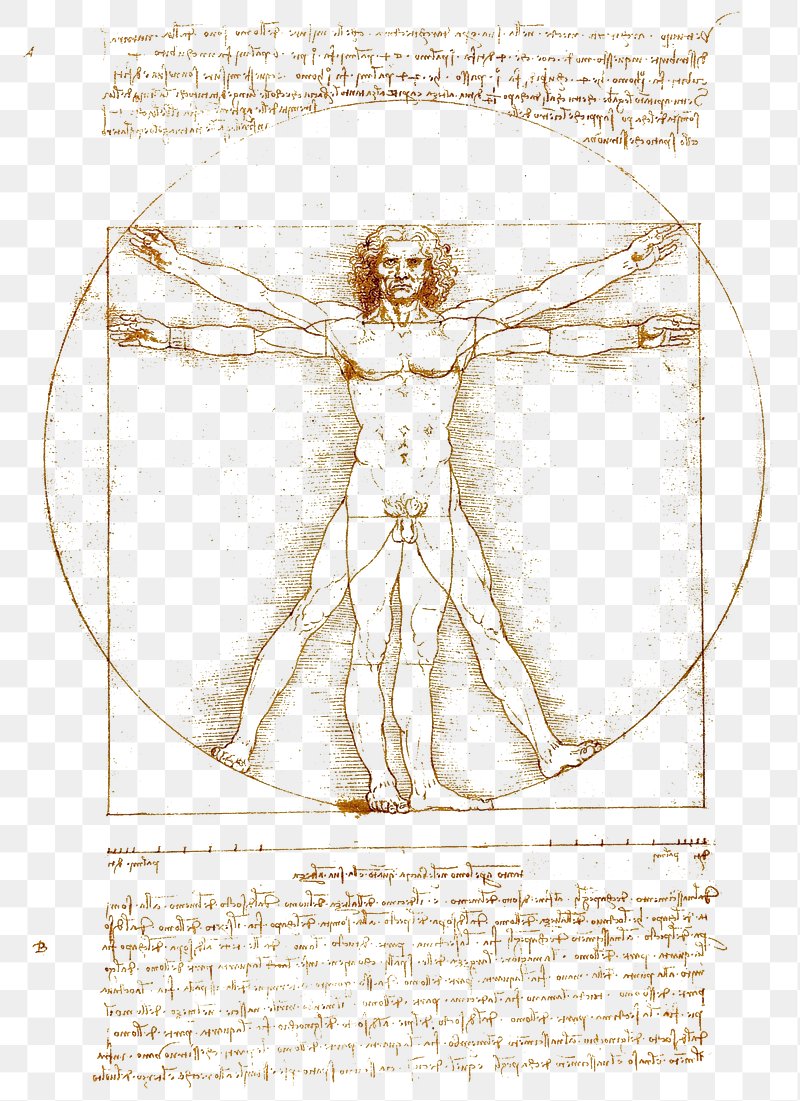 Vitruvian Man Drawing by Leonardo da Vinci as | Stable Diffusion