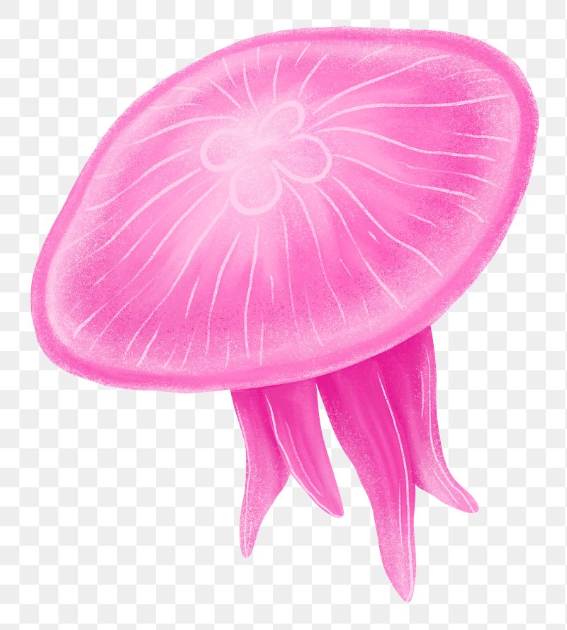 Roblox Pink Jellyfish transparent PNG - StickPNG