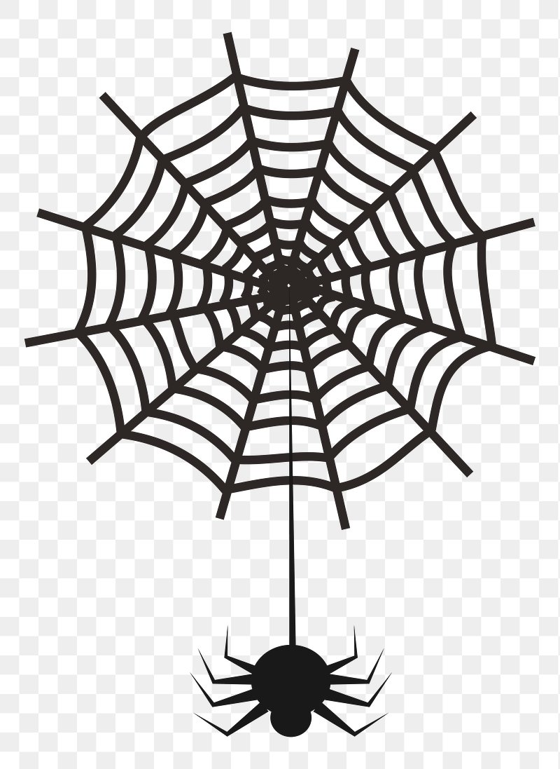 white spider web png