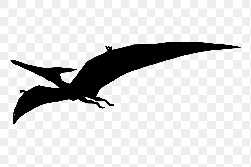 Pterodactyl Silhouette Clip Art