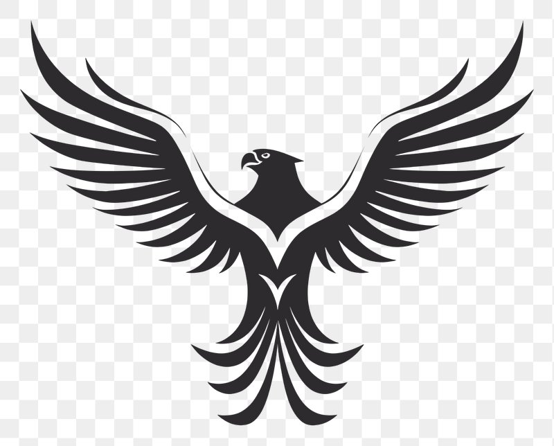 Free download | Bird Logo, Bald Eagle, Drawing, Royaltyfree, Beak, , Hawk,  Feather transparent background PNG clipart | HiClipart