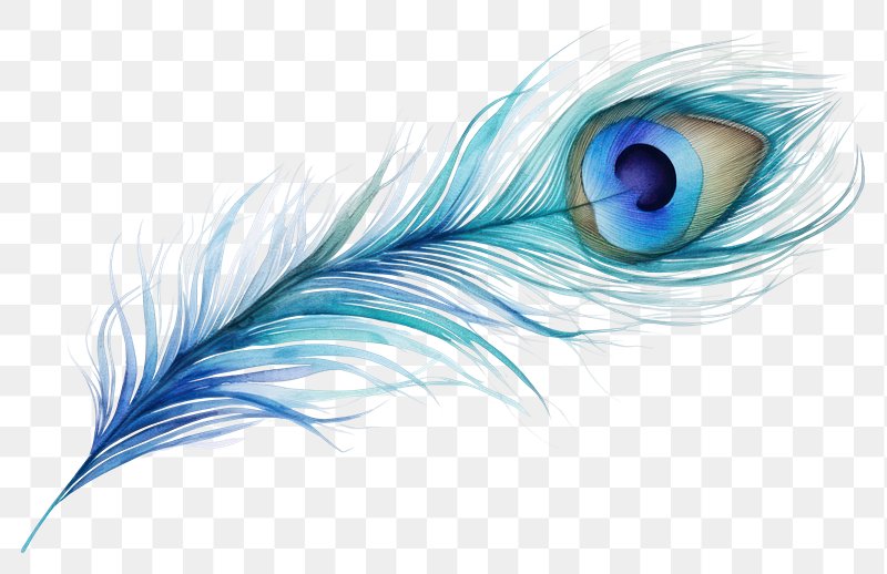 Blue Feather PNG Transparent Images Free Download, Vector Files