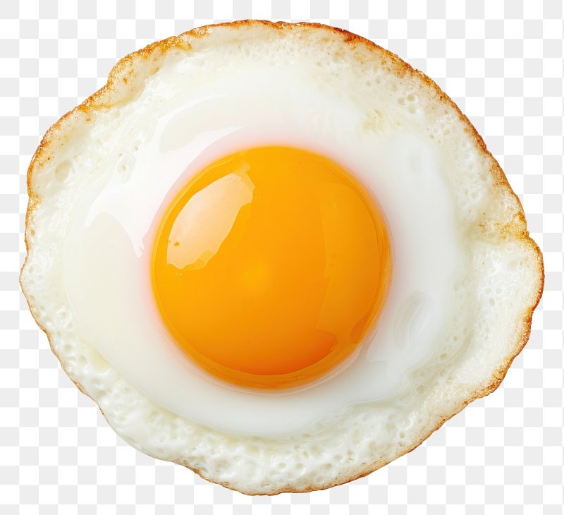 PNG Fried egg food white