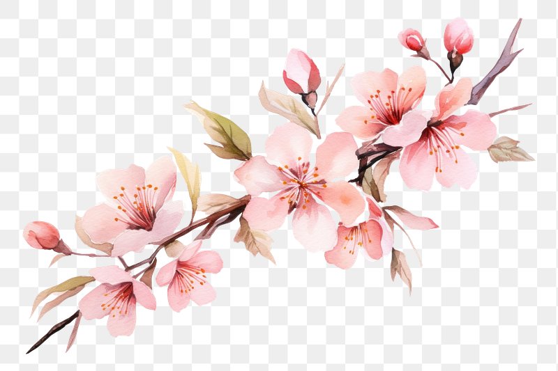 Soft Pink Floral Background​  Gallery Yopriceville - High-Quality Free  Images and Transparent PNG Clipart