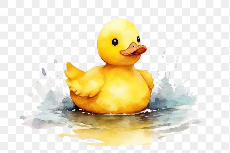 Duck Images | Free Photos, PNG Stickers, Wallpapers & Backgrounds ...