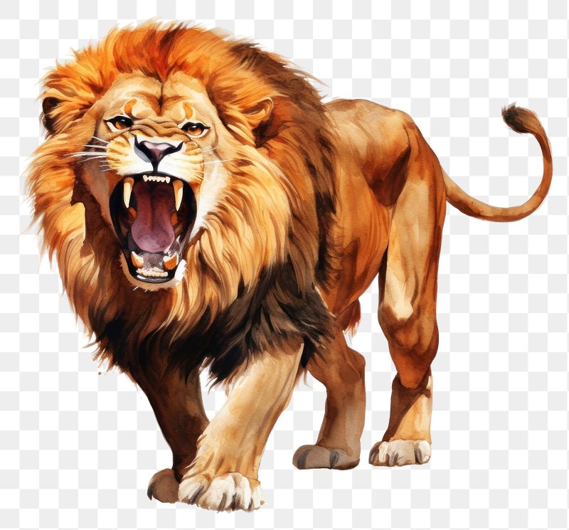 lion roaring front view clipart