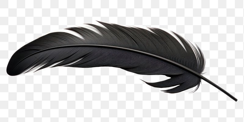 Black Feather Transparent Images  Free Photos, PNG Stickers, Wallpapers &  Backgrounds - rawpixel