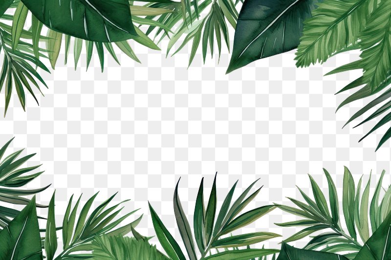 Jungle Images | Free HD Backgrounds, PNGs, Vectors & Templates - rawpixel