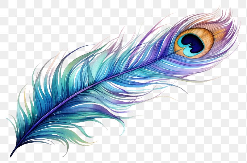 feather png