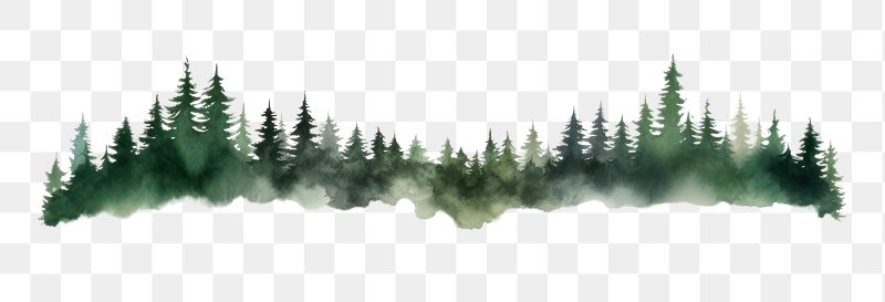 Forest PNG Images | Free Photos, PNG Stickers, Wallpapers & Backgrounds ...