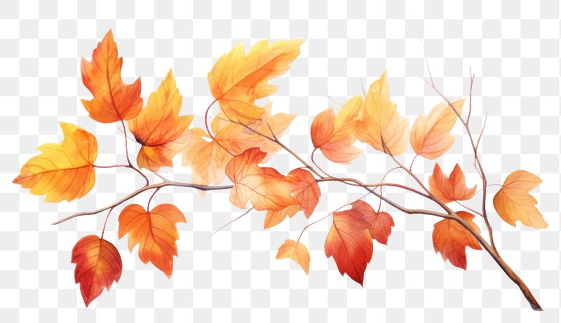 falling autumn leaves png