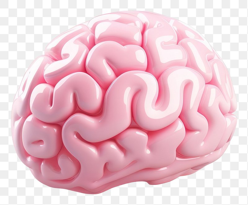 pink cartoon brains