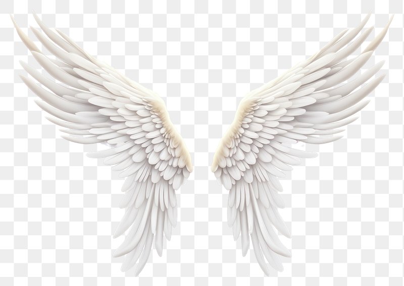 beautiful angel wings png