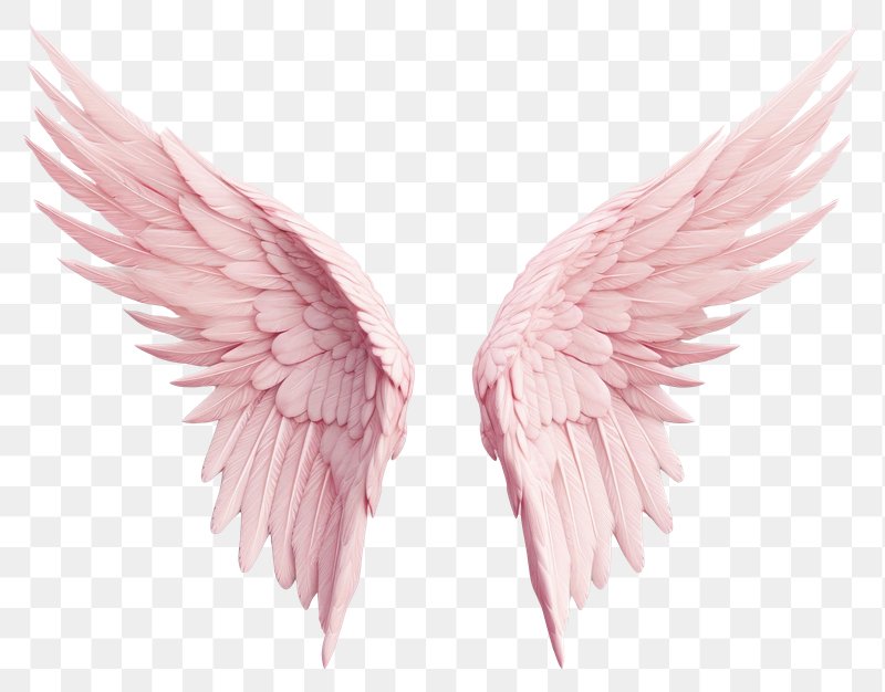 Angel Wings Images | Free Photos, PNG Stickers, Wallpapers ...