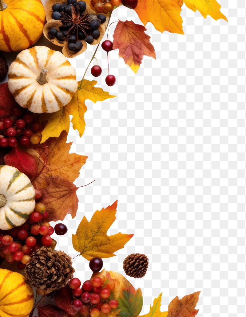fall leaves and pumpkins border png
