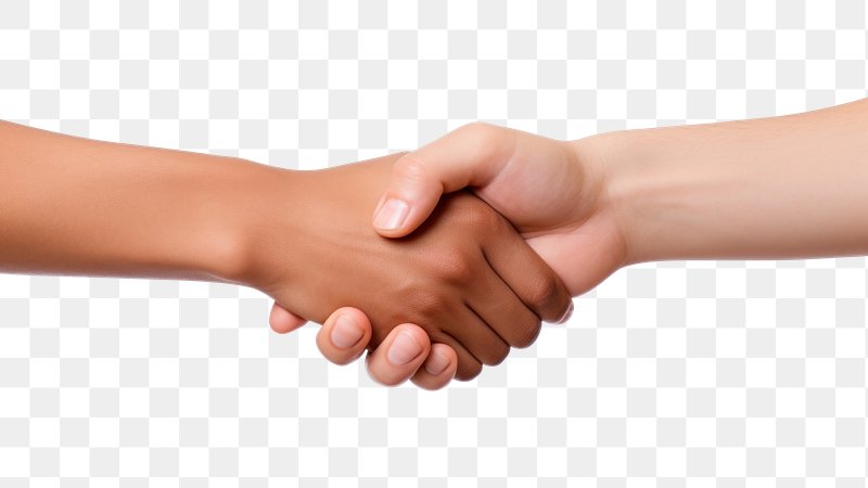 Hand Shake White Png, Transparent Png , Transparent Png Image