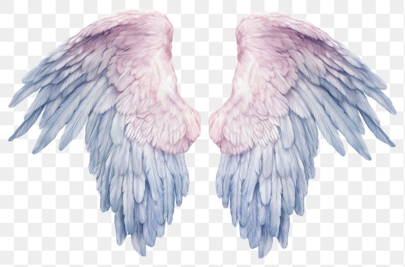 Pencil Drawing Angel PNG Images | Free Photos, PNG Stickers, Wallpapers ...