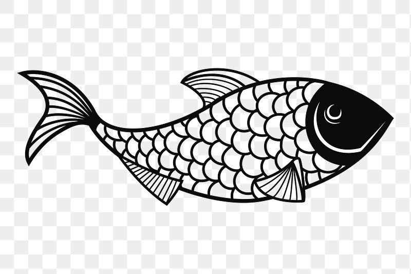 Fish Drawing PNG Transparent Images Free Download